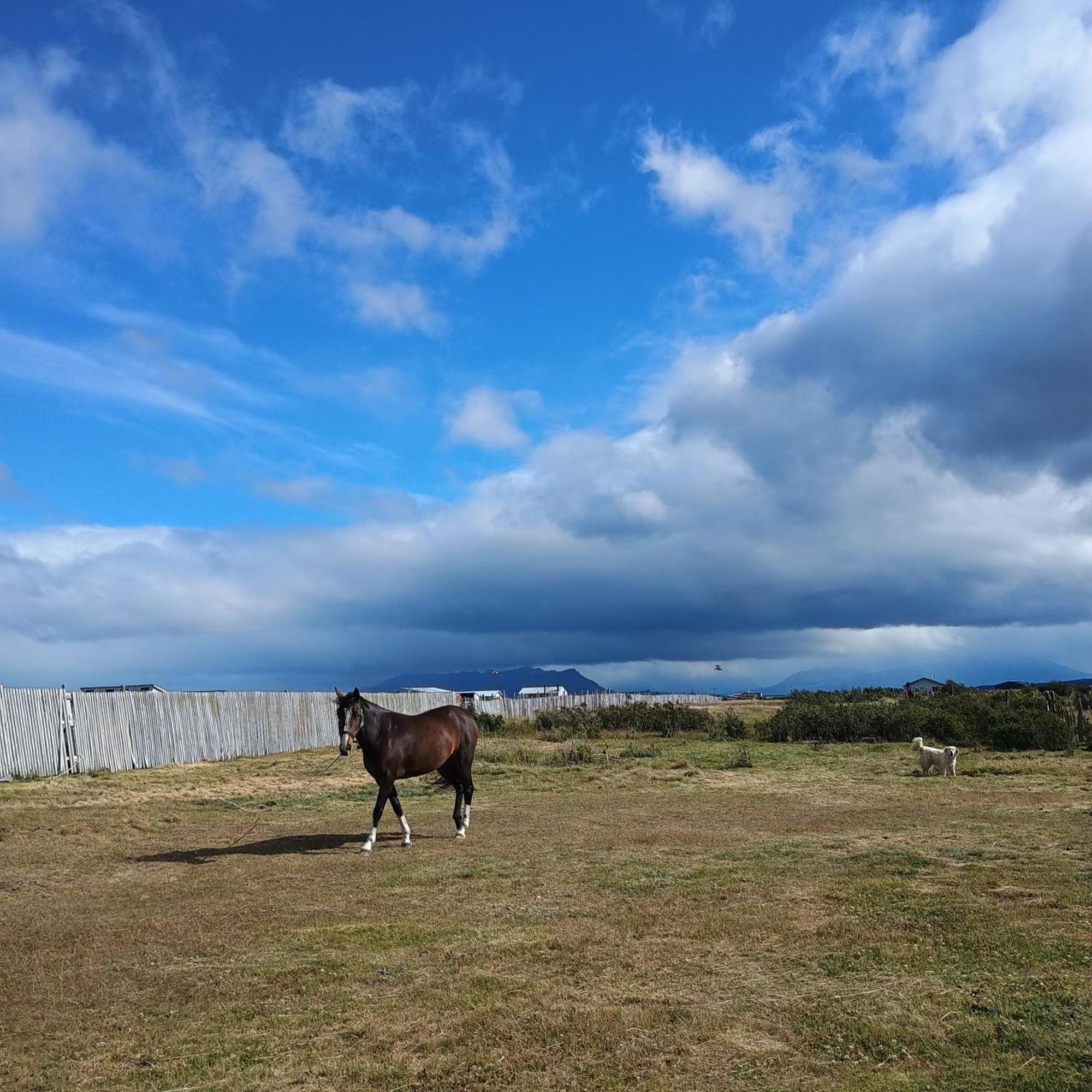 Apartmán Tyni House Puerto Natales Exteriér fotografie
